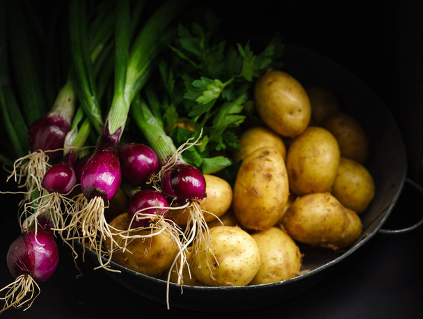 fresh raw vegetables - Foto, Imagem