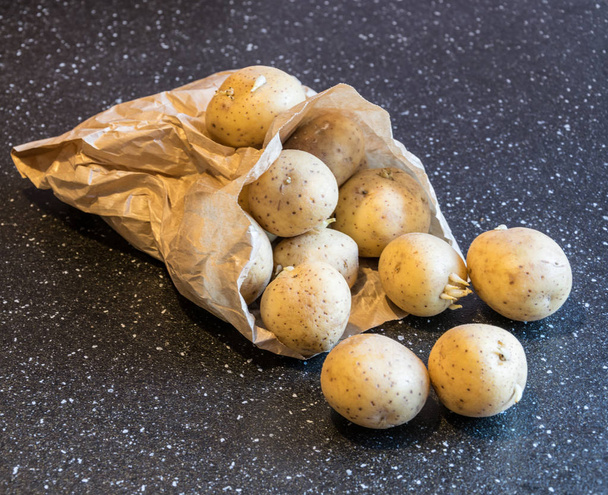 batatas caseiras frescas em um saco de papel do mercado
 - Foto, Imagem