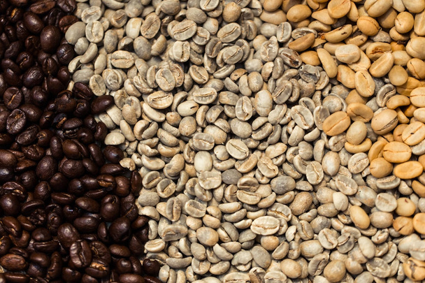 various type of arabica coffee been roasted multiple colors and stage of roast timing - Photo, Image