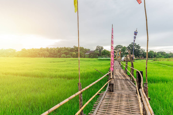 openbare reizen locatie bamboe handgemaakte brug over groene rijst veld in Lampang naam "Sapan Boon Wat Pa Tat San Don"  - Foto, afbeelding