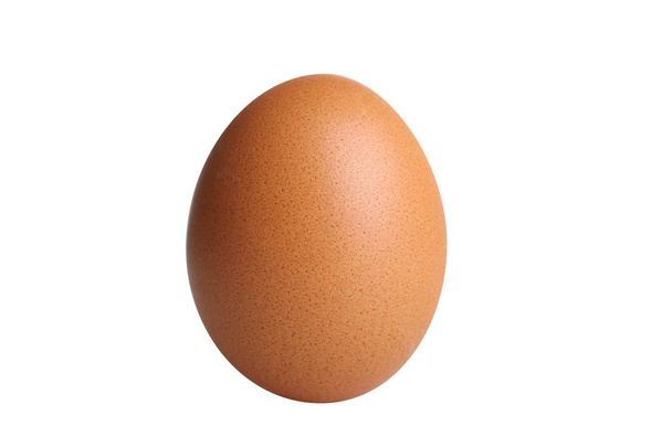 Bir kahverengi yumurta.  - Fotoğraf, Görsel