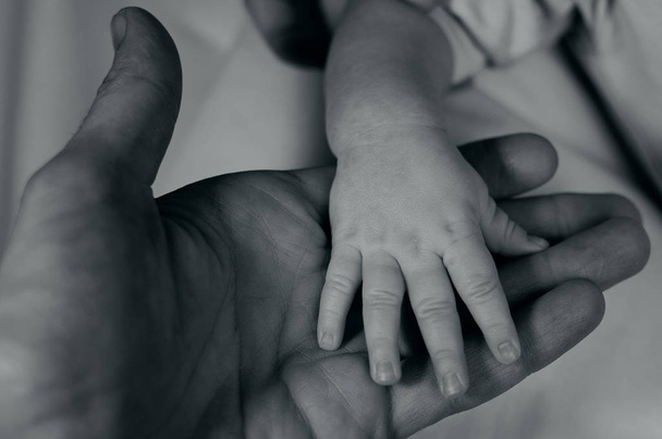 Child hand in father's palm - Foto, imagen