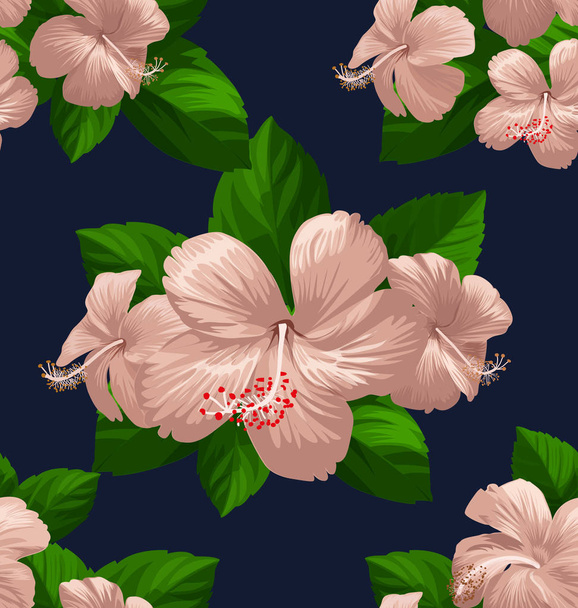 hibicus flowers pattern 2 - Вектор,изображение