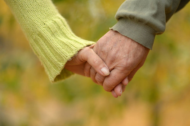 Elderly couple holding hands - Photo, Image