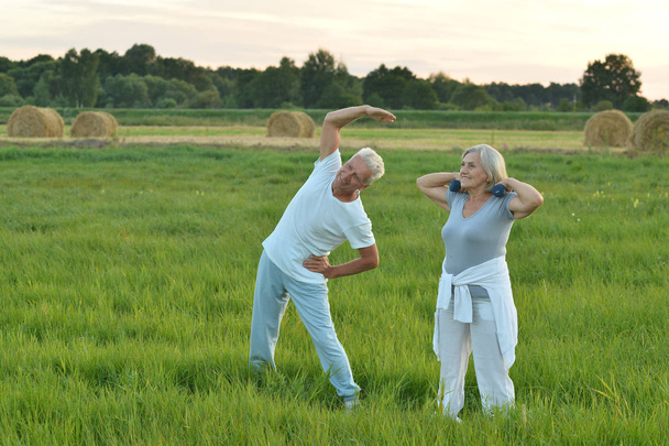  senior couple doing exercises - Fotografie, Obrázek