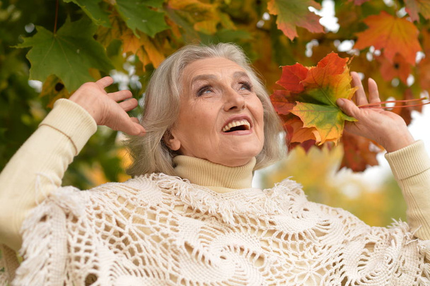 woman holding autumn leaves  - Fotografie, Obrázek