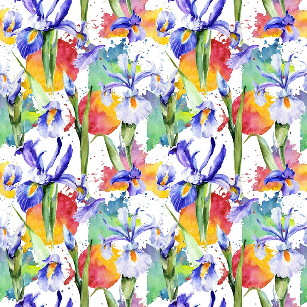Wildflower iris flower pattern in a watercolor style. - Фото, изображение
