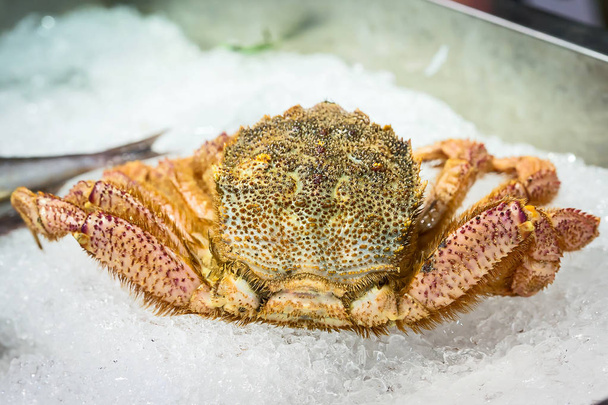 crabe poilu japonais
. - Photo, image