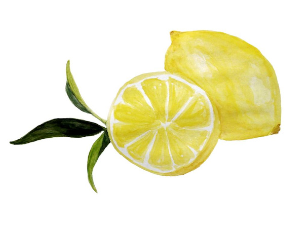 akvarell illusztráció, a citrom és a levelek - Fotó, kép