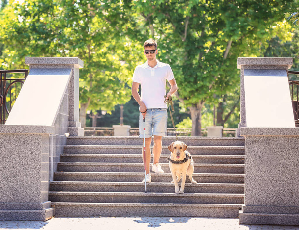 Guide dog helping blind man  - Fotografie, Obrázek