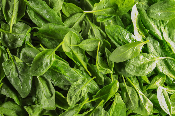 Fresh spinach leaves - Foto, Imagem
