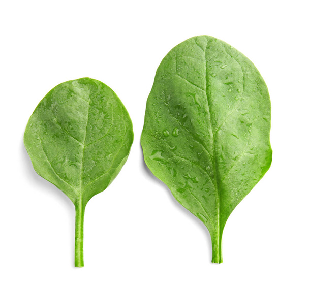 Fresh spinach leaves - Фото, зображення