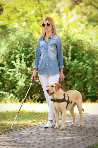 Guide dog helping blind woman  - Фото, зображення