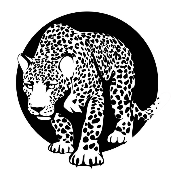 black and white silhouette of a leopard in a black circle - Vector, Image