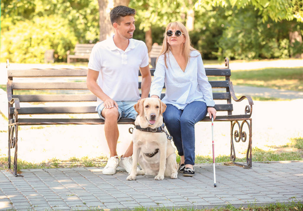 Young man and blind woman with guide dog sitting on bench in park - 写真・画像