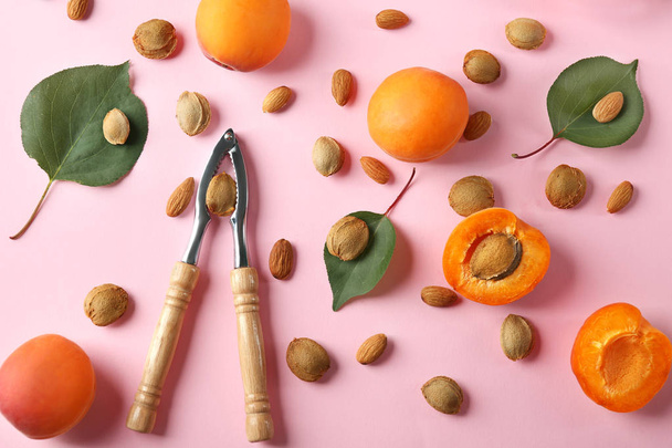 Composition with apricots, kernels and nutcracker tool on color background - Zdjęcie, obraz