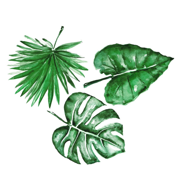 Different watercolor tropical leaves - Foto, afbeelding
