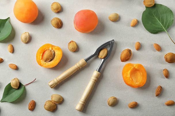 Composition with apricots, kernels and nutcracker tool on light background - 写真・画像