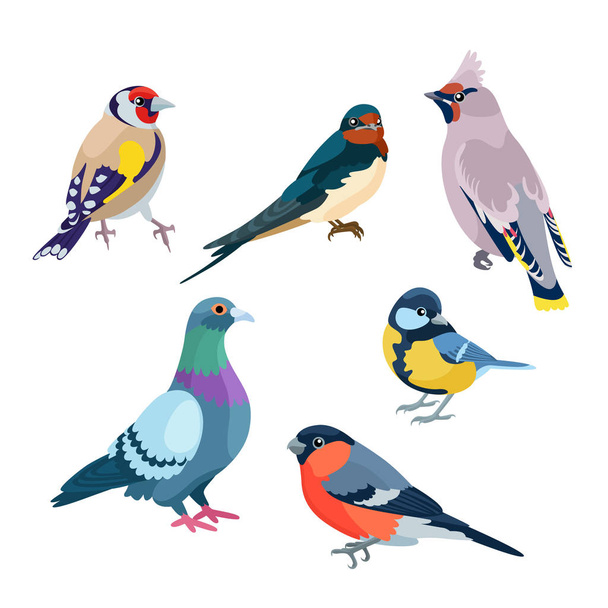 6 сидящих птиц
 - Вектор,изображение