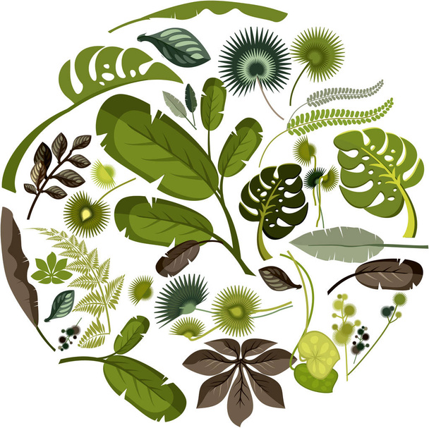 Set of tropical leaves - Vektor, obrázek