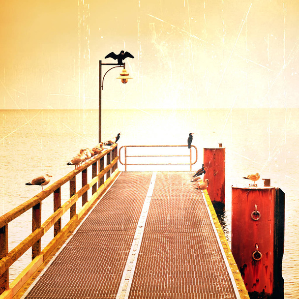 港の空の桟橋。スチール製の格子板。ランプの上に黒い鵜座る。秋霧の海の上の桟橋上. - 写真・画像