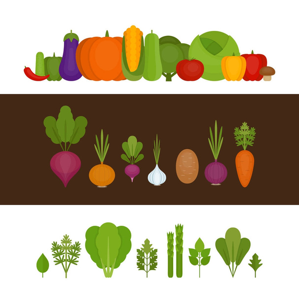 Коллекция овощей. Органическая и здоровая пища. Плоский стиль, векторная иллюстрация
. - Вектор,изображение