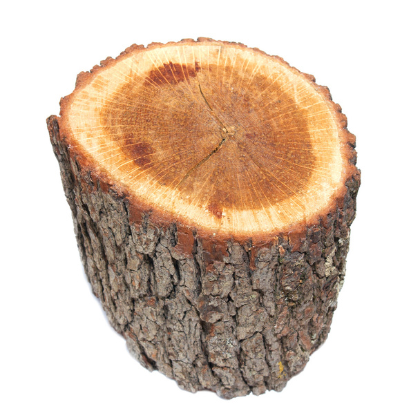 fából készült stump - Fotó, kép