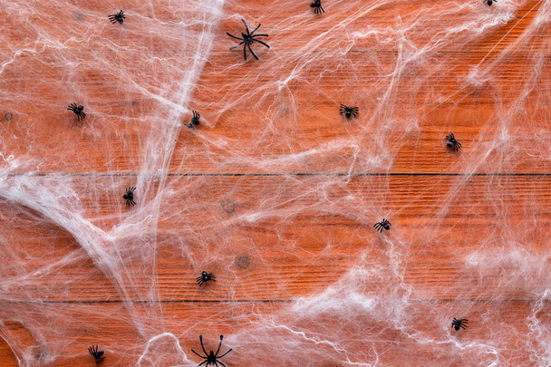 Halloween background with decorative creepy web and spiders on o - Foto, Imagem