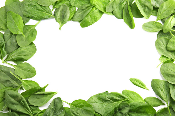 Fresh spinach leaves - Φωτογραφία, εικόνα