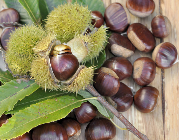sweet chestnuts on a table  - Photo, Image