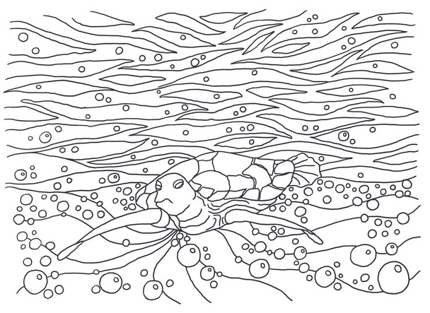 Turtle. Coloring books for children and adults. An image of nature. The idea of coloring. Bubbles, air, motion. - Photo, Image