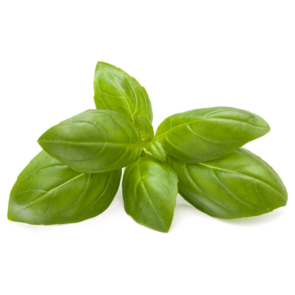 Sweet basil leaves  - Фото, изображение