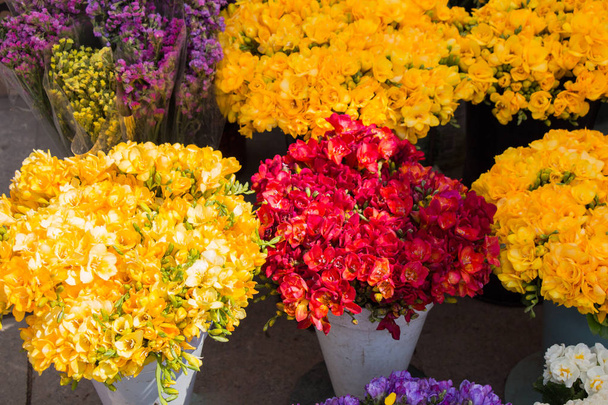 Flores florecientes de colores en jarrón
 - Foto, Imagen