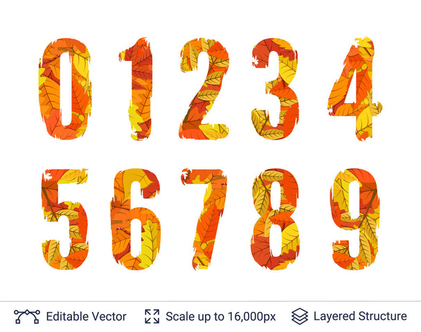 Autumn fall bright numbers collection. - Вектор, зображення