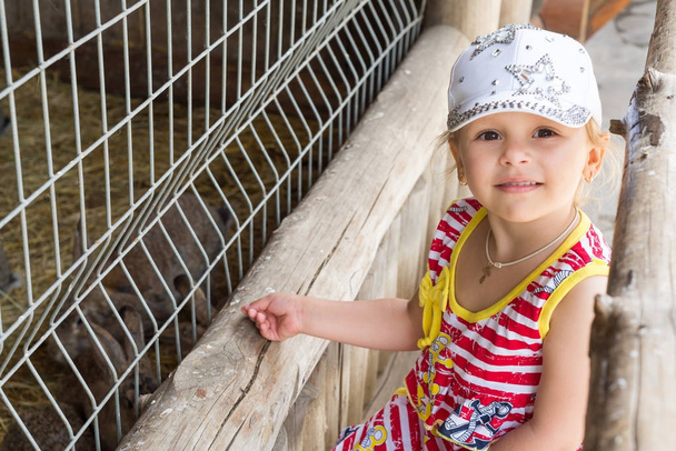 Un enfant, une petite fille, nourrit des lapins moelleux dans une cage dans un zoo avec une carotte juteuse
. - Photo, image