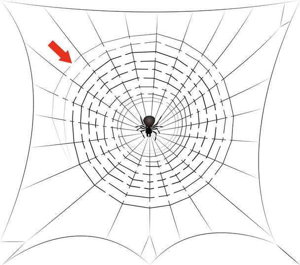 Spider In Spiders Web Center acechando
 - Vector, imagen