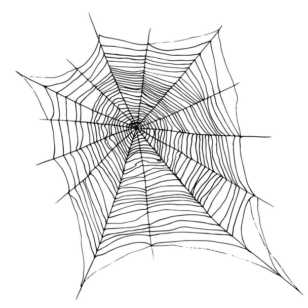Handzeichnung dekorativ schöne Spinnennetz, Zeichnung Cartoon sty - Vektor, Bild