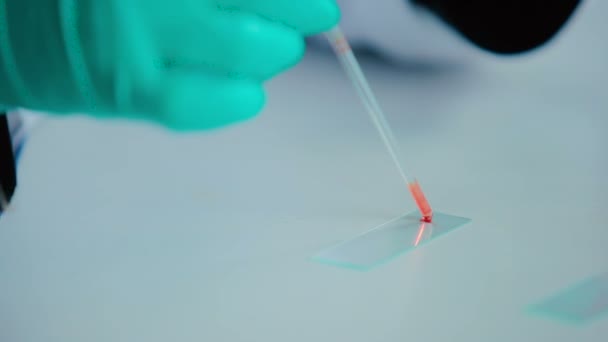 close-up of male hands in green gloves working with blood in modern Laboratory  - Záběry, video