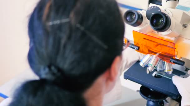 woman in white uniform working with microscope in modern Laboratory  - Felvétel, videó