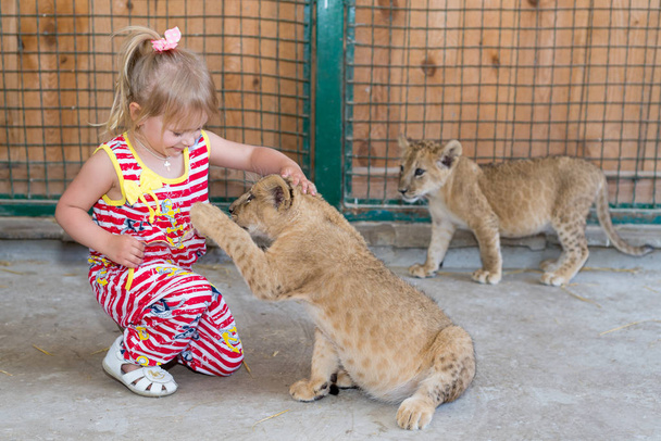 Dziecko dziewczynka gra w zoo z małego tygryska. - Zdjęcie, obraz