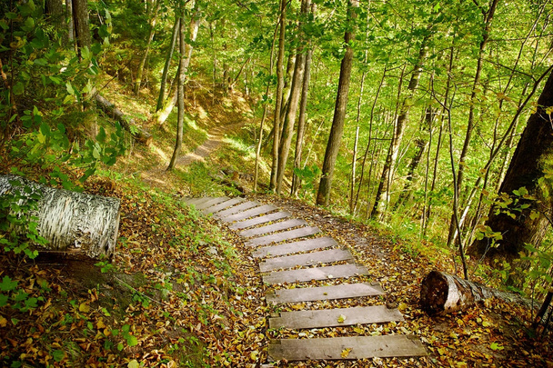 Stairway in a mountain park - Photo, Image