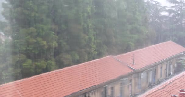 4 k παράθυρο σταγόνες της βροχής, κόκκινη στέγη & λικνίζονται δέντρο. - Πλάνα, βίντεο