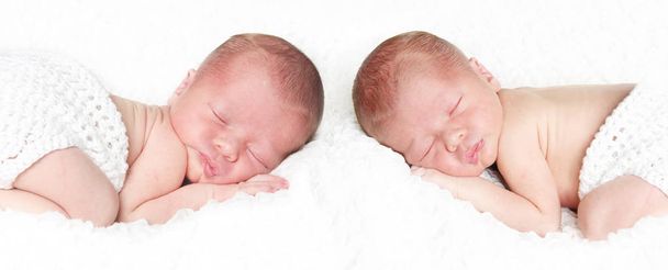 Retrato de bebê recém-nascido twin
 - Foto, Imagem