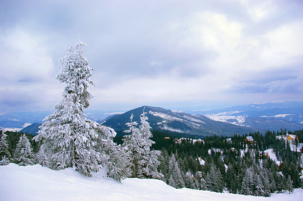 Zimowy krajobraz górski - Zdjęcie, obraz