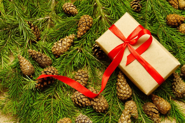 Christmas gift on pine branches - Fotoğraf, Görsel
