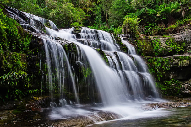 Le Liffey Falls, una serie di quattro distinte cascate a gradini sul fiume Liffey, si trovano nella regione delle Midlands in Tasmania, Australia
. - Foto, immagini