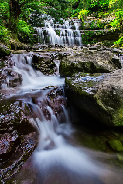 Falls Liffey, serii cztery odrębne warstwowych kaskady wodospadów na rzekę Liffey, znajduje się w regionie Midlands, Tasmania, Australia. - Zdjęcie, obraz