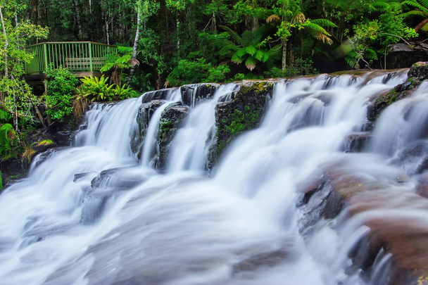 Falls Liffey, serii cztery odrębne warstwowych kaskady wodospadów na rzekę Liffey, znajduje się w regionie Midlands, Tasmania, Australia. - Zdjęcie, obraz