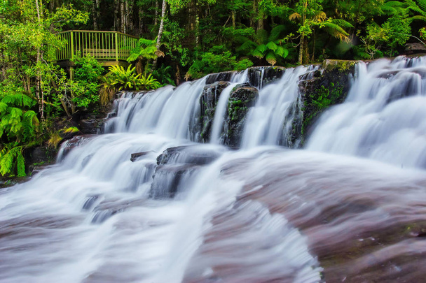 Riserva statale di Liffey Falls nella regione delle Midlands in Tasmania, Australia
. - Foto, immagini