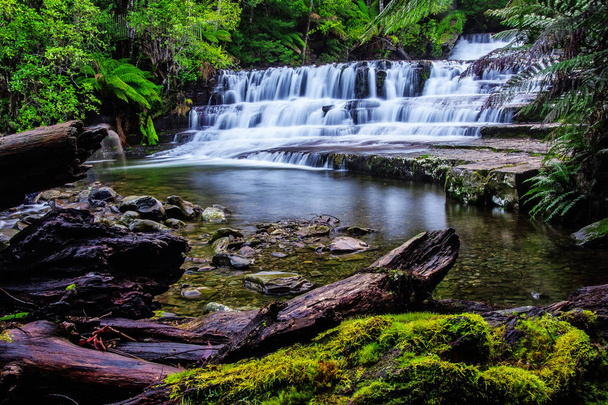 Liffey Falls State Reserve at the Midlands region of Tasmania, Australia. - Photo, Image